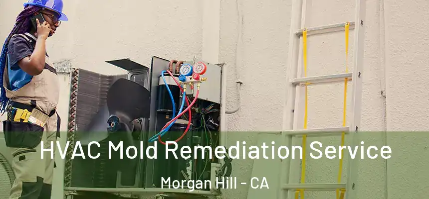  HVAC Mold Remediation Service Morgan Hill - CA