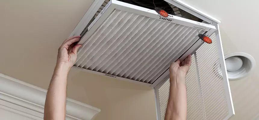 Preventive Cockroach-Proofing for Ducts in Morgan Hill