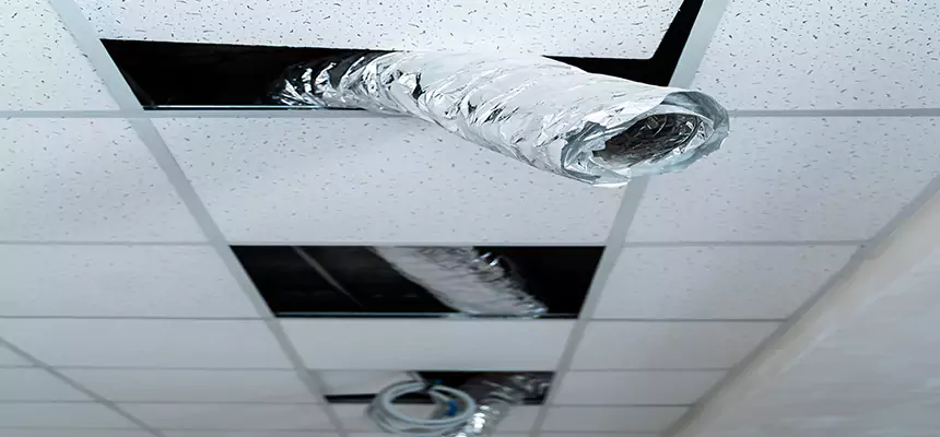 Affordable HVAC Sanitizing After Pest Removal in Morgan Hill