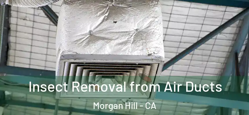 Insect Removal from Air Ducts Morgan Hill - CA