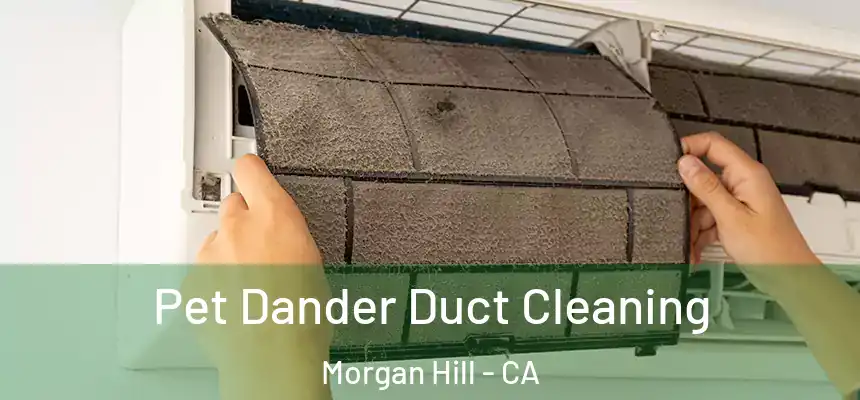 Pet Dander Duct Cleaning Morgan Hill - CA