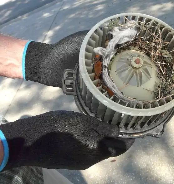 About Air Duct Rat Removal in Morgan Hill, CA