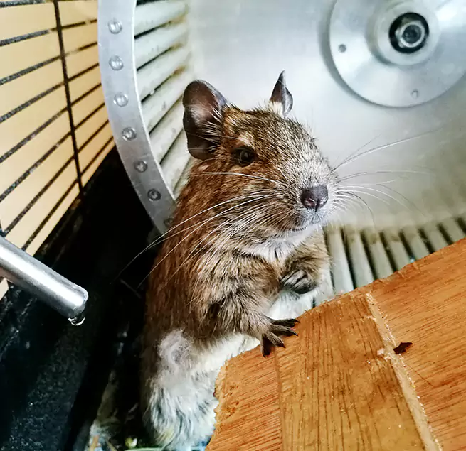 Why Homeowners & Businesses Trust Us Morgan Hill, CA