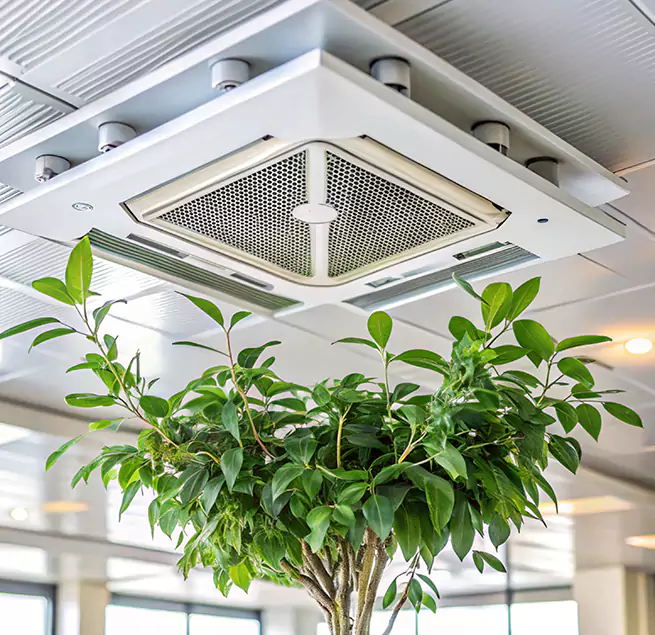 Why Homeowners & Businesses Trust Us in Morgan Hill, CA